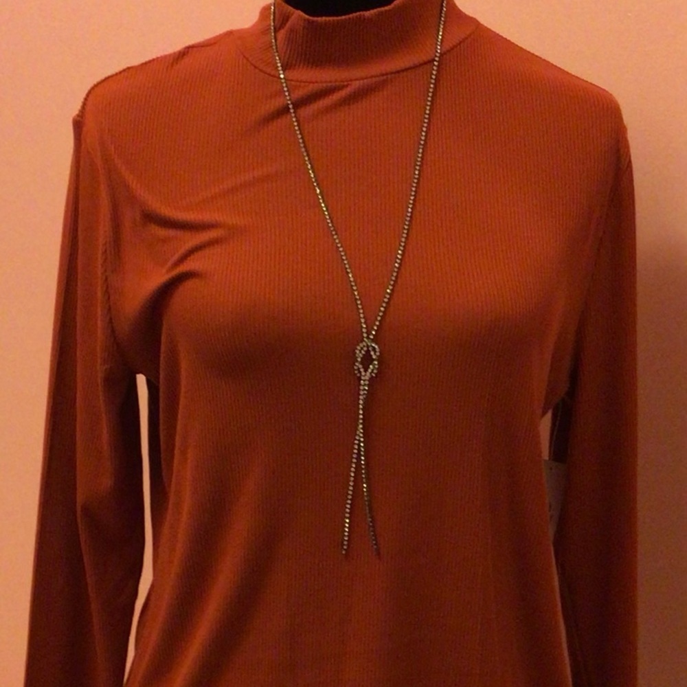 Never worn cute low turtle neck